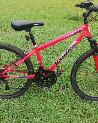 bicicletta