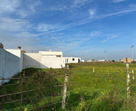 Terreno Torre San Gennaro marina di Torchiarolo