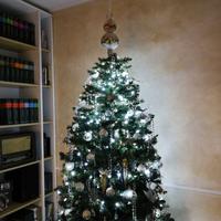 Albero di natale completo