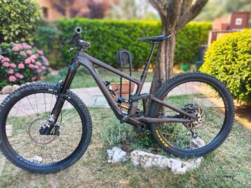 MTB Specialized Enduro Expert Carbon 2023 S2