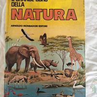 6 libri Mondadori
