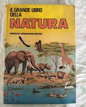 6 libri Mondadori