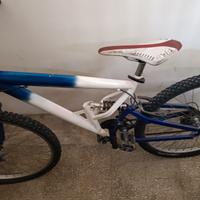 bicicletta 