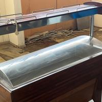 vetrina pesce refrigerta