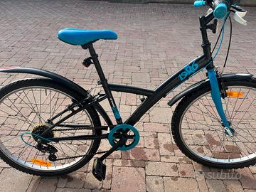 Bicicletta 24