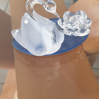 Cristallo swarovski