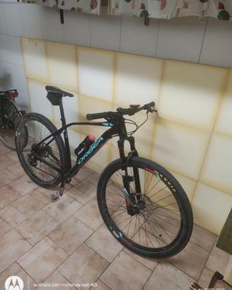 Orbea Alma