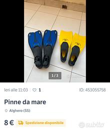 Pinne da mare