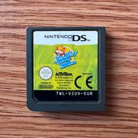 Gioco Nintendo DS