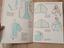 Immagine 6