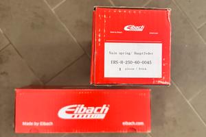 Molle Eibach nuove Renault 5 gt turbo