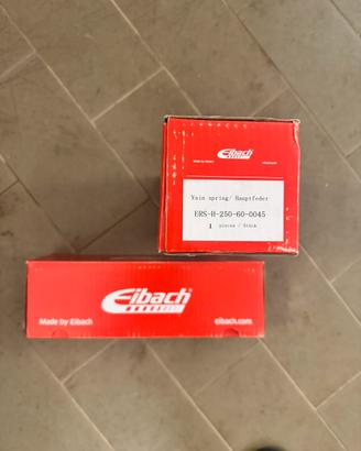 Molle Eibach nuove Renault 5 gt turbo