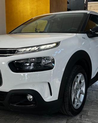CITROEN C4 Cactus BlueHDi 120 S&S EAT6 Shine