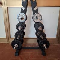 Rastrelliera con manubri