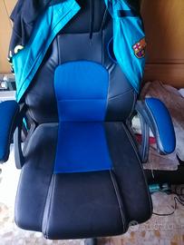 sedia con rotelle 