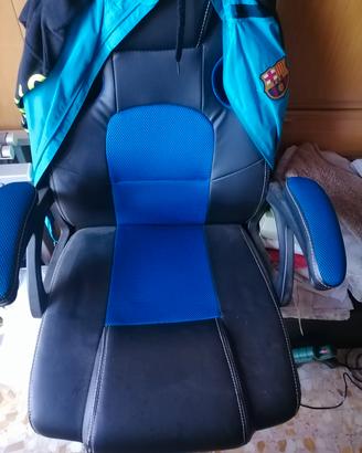 sedia con rotelle 
