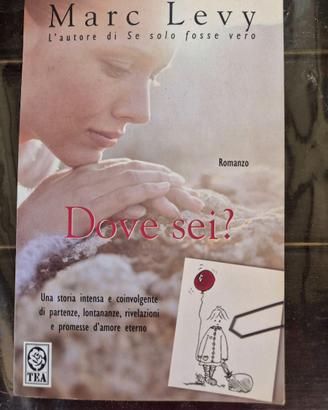 Marc Levy - Dove sei