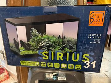 Acquario Sirius 31