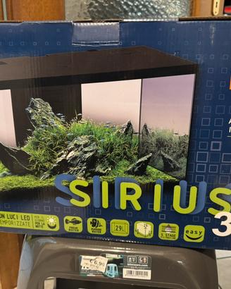 Acquario Sirius 31