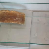 Tartarughiera  27.5×49.5×20+Filtro