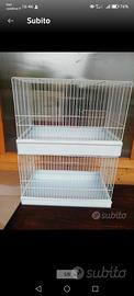 gabbie per canarini 
