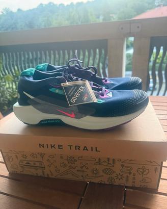 Nike trail pegasus 5 gtx