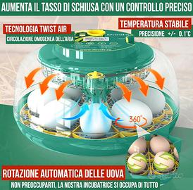 Incubatrice e Chioccia Artificiale