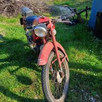 Guzzi Cardellino 73cc