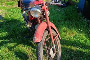 Guzzi Cardellino 73cc