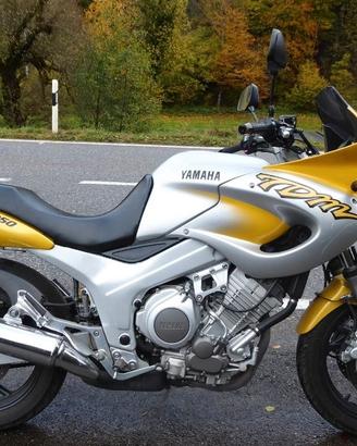 Tdm850