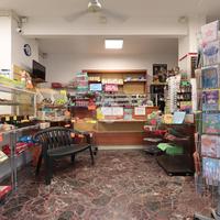 ATTIVITÀ A ALESSANDRIA