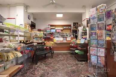 ATTIVITÀ A ALESSANDRIA