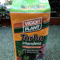 Torba acida di sfagno irlandese