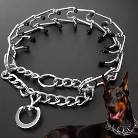 Collare da Addestramento 