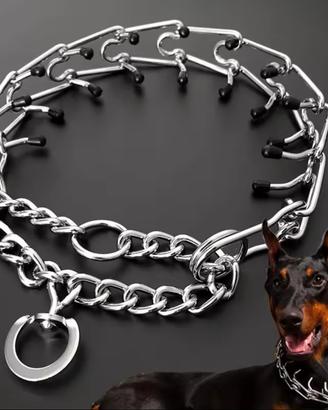 Collare da Addestramento 