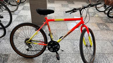 Mountain Bike Doniselli Milan