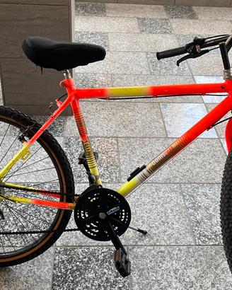 Mountain Bike Doniselli Milan