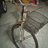 Bicicletta ben tenuta 