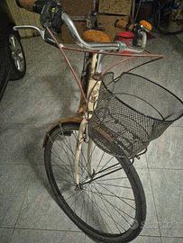 Bicicletta ben tenuta 