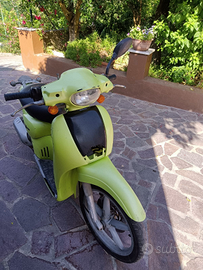 Motorino scarabeo 50