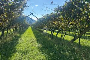 TERRENO A ARCO