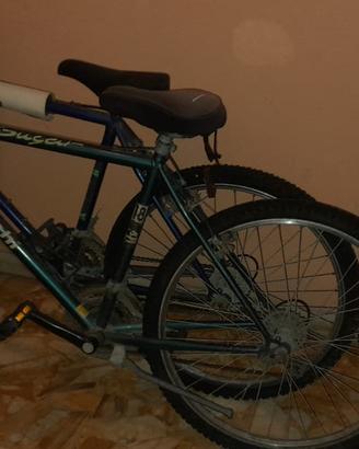 Coppia di biciclette