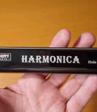 Armonica 24 fori