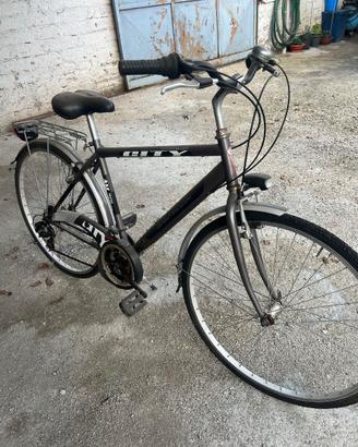 City Bike Uomo - modello Zefiro