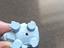 Immagine 2