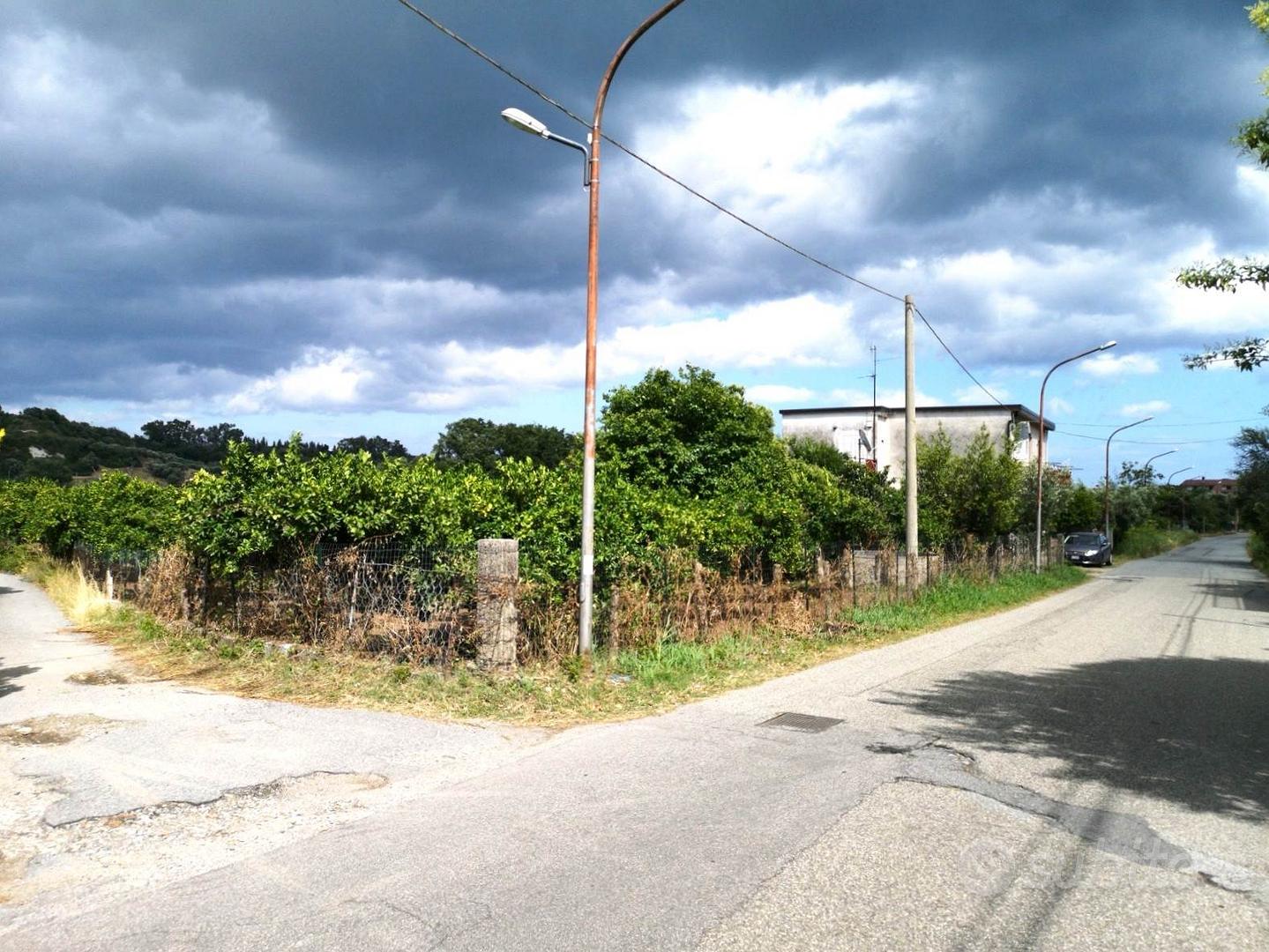 Rif.RI510| terreno agricolo sant'ilario dello ion - Vista 3