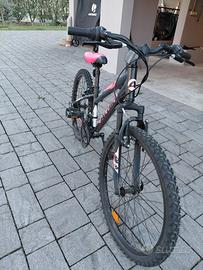 Mountain Bike Atala