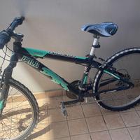 Bicicletta tipo mountain bike