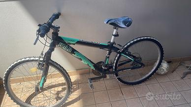 Bicicletta tipo mountain bike