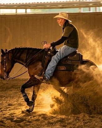Cavalla quarter horse reining pronta show